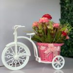 Big Bicycle Pot Flower