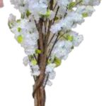 Cheery blossom white