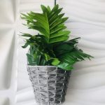 Fills/Palm/Dropping Flower with Hanging Vase